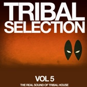 Perqssion (Tribal Nation Mix) artwork