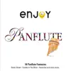 Enjoy Panflute album lyrics, reviews, download