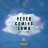 Never Coming Down - Single album lyrics, reviews, download
