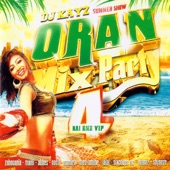 Oran Mix Party, Vol. 4 artwork