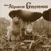 The Alpaca Gnomes - Honey