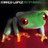 Amphibian - Single