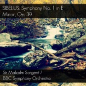 Sibelius: Symphony No. 1 in E Minor, Op. 39 artwork