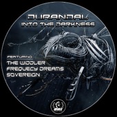 Into the Darkness (Frequency Dreams Remix) artwork