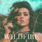 Wildfire - Bean lyrics