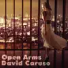 Stream & download Open Arms - Single