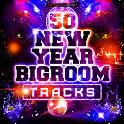 50 New Year Bigroom Tracks by Various Artists album reviews, ratings, credits