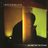 Incognito - Nights Over Egypt