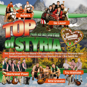 Top of Styria - Varios Artistas