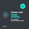 High Hopes - Single album lyrics, reviews, download