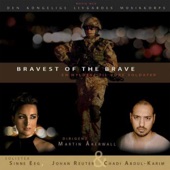 Bravest of the Brave - En hyldest til vore soldater artwork