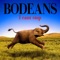 We Let the Good Times Roll - BoDeans lyrics