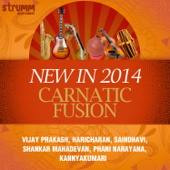 New in 2014: Carnatic Fusion - Various Artists
