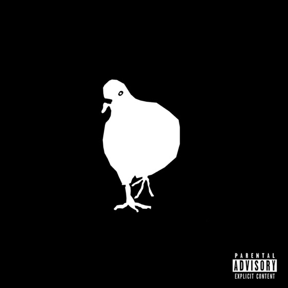 Cover artwork for Pidgeon