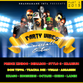 Party Vibes Dancehall Edition 2015, Vol. 2 (Shashamane Intl Presents) - Various Artists