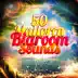 50 Mallorca Bigroom Sounds album cover