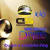 Stream & download You Are a Wonderful Thing (feat. Kilo) [Dedicated to You Mom] - EP