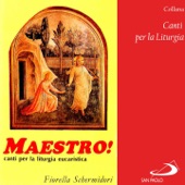 Collana canti per la liturgia: Maestro! (Canti per la liturgia eucaristica) artwork