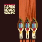 Electric Monkey Sessions artwork