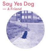 Say Yes Dog - A Friend