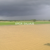 Amor Salvaje