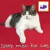 Sleep Music for Cats album lyrics, reviews, download