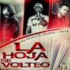 La Hoja Se Volteo (feat. J Balvin & Arcangel) - Single, 2014