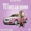 Tu Eres la Vaina - Single