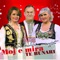 Andrra (feat. Enkeleda Arifi & Mahmut Ferati) - Shyhrete Behluli lyrics
