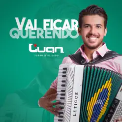 Vai Ficar Querendo - Single - Luan Estilizado