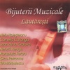 Bijuterii Muzicale Lautaresti, 2015