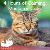 4 Hours of Calming Music for Cats artwork