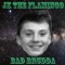 Bad Brudda - JK The Flamingo lyrics