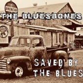 Saved By the Blues artwork
