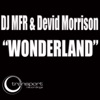 Wonderland - Single