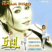 Non Stop Senam Disco artwork