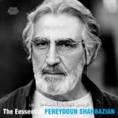 The Essential Fereydoun Shahbazian artwork