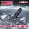 Stream & download Fly in B Minor - Single