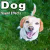Dog Sound Effects album lyrics, reviews, download