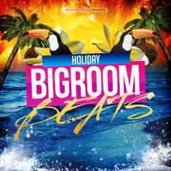 Holiday Bigroom Beats by Various Artists album reviews, ratings, credits