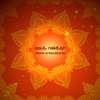 Soul Nektar