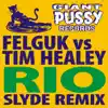 Rio (Slyde Remix) [Felguk vs. Tim Healey] - Single album lyrics, reviews, download