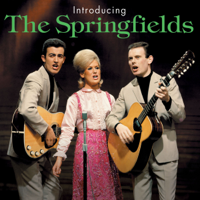 The Springfields - Introducing the Springfields artwork