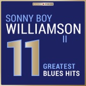 Sonny Boy Williamson II - Don't Start Me to Talkin'