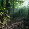 Bike Ride album lyrics, reviews, download