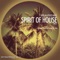 Spirit of House (DJ Mark Brickman ReRub) - Dank & Louis Hale lyrics