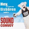 Hey, wir woll'n die Eisbären seh'n - Original Mix by Sound Convoy iTunes Track 2