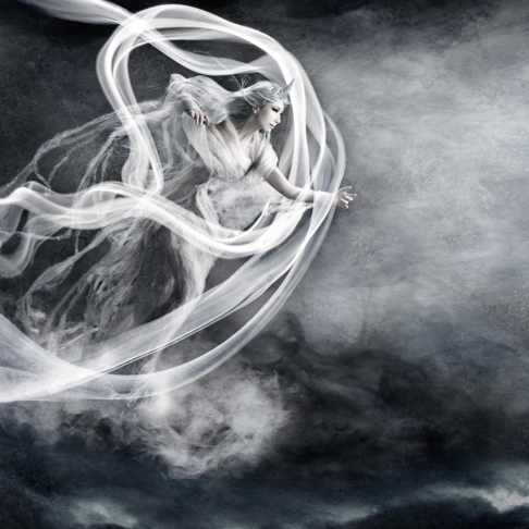 陰陽座をapple Musicで