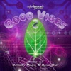 Good Vibes 2 compiled by Ovnimoon, Pulsar & DJane Gaby