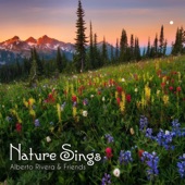 Nature Sings artwork